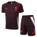 Bayern München 2024/25 braunes Trainingsjersey und Shorts