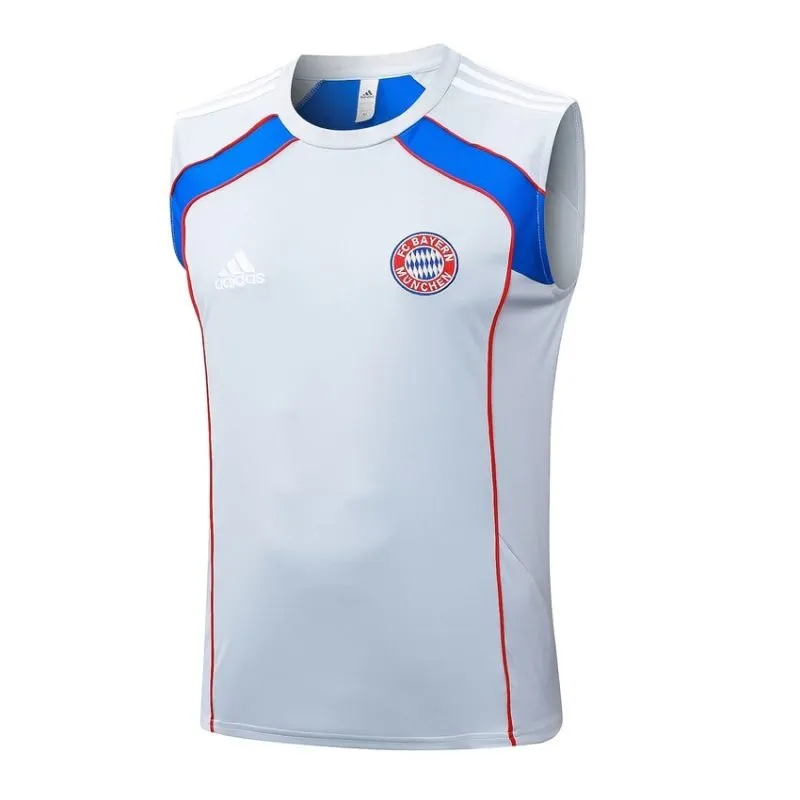 Bayern München 2025/26 Shorts- und Weste-Set - Grau