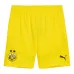 Borussia Dortmund 2024/25 Maillot Extérieur Enfant Réplique - Noir