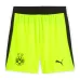 Pantaloncini da trasferta Dortmund 2025/26 - Verdi