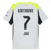 Dortmund JOBE 2025/26 Away Jersey - Grey/Green