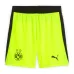 Dortmund BRANDT 2025/26 Kids Away Kit - Grey/Green