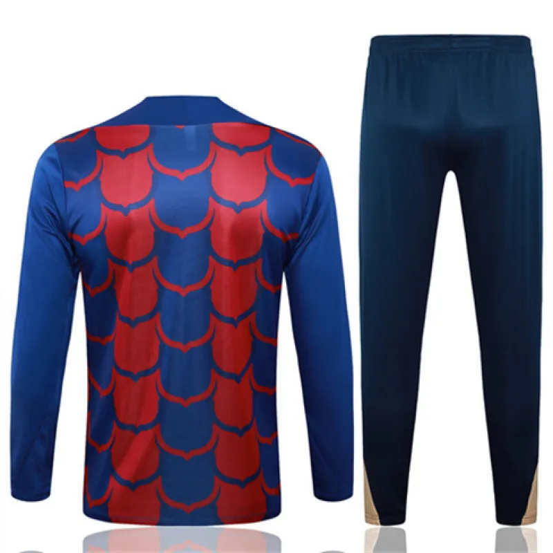 FC Barcelona Sportswear 2024/25 - Red/Blue