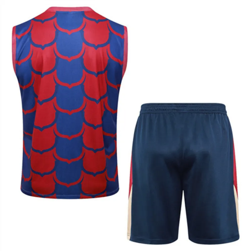 Conjunto de pantalones cortos y chaleco del FC Barcelona 2024/25 - Rojo/Azul