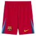 Barcelona PEDRI 2025/26 Fourth Kids Kit Jersey - Blue/Red