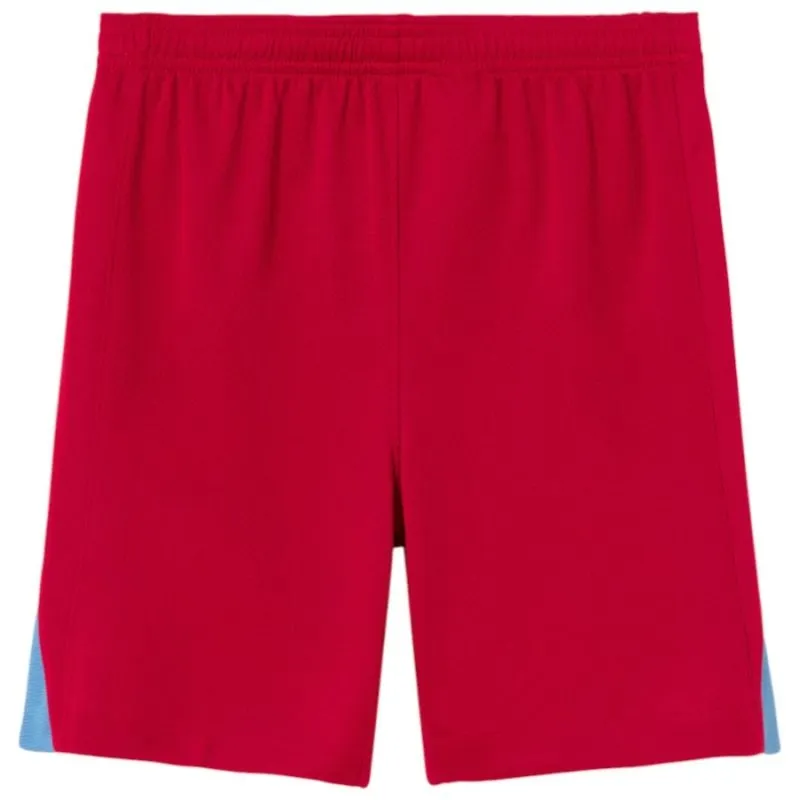 Barcelona PEDRI 2025/26 Fourth Kids Kit Jersey - Blue/Red