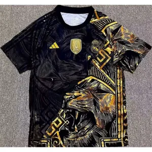 Camiseta de entrenamiento del Real Madrid 2024/25 - Negro/Oro