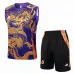 Real Madrid Shorts- und Weste-Set 2024/25 - Lila