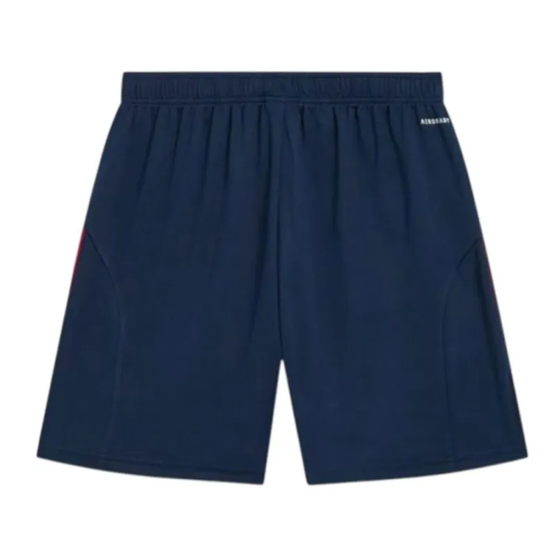 Arsenal 2025/26 Away Shorts - Blue