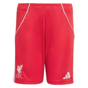 Liverpool 2025/26 Heimshorts - Rot