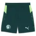 Manchester City 2025/26 Fourth Kids Kit - Green