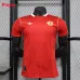 Maillot d'entraînement des joueurs de Manchester United 2024/25 - Noir/Rouge