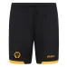 Wolves Kindertrikot Set 2025/26 Heim - Gelb