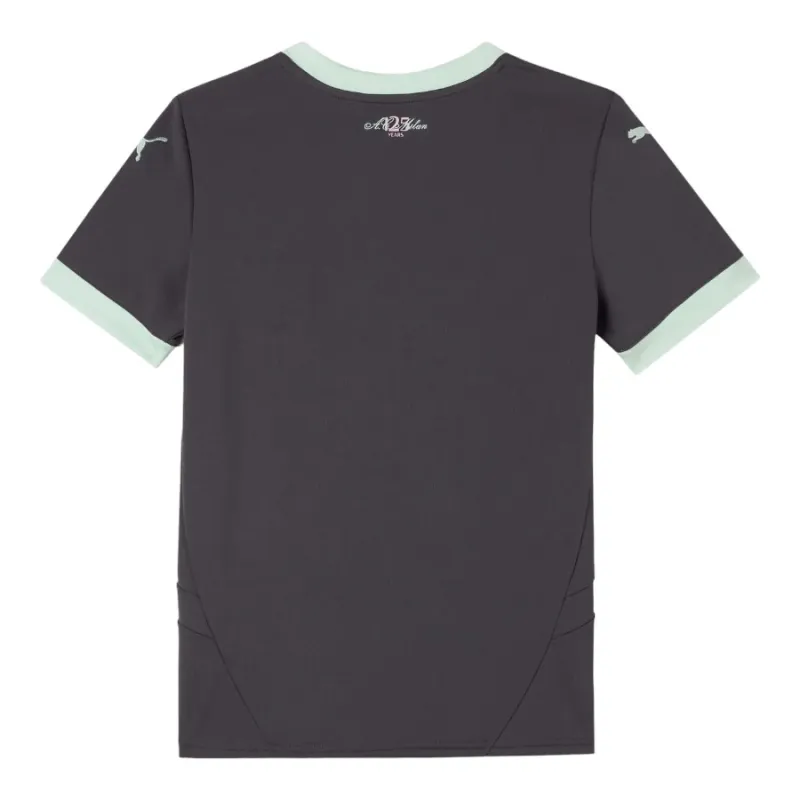 AC Milan Kids' 2024/25 Third Jersey - Gray