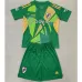 Camiseta de portero para niños de River Plate 2024/25 - Verde