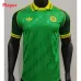 Celtic 2024/25 Special Jersey - Player - Green