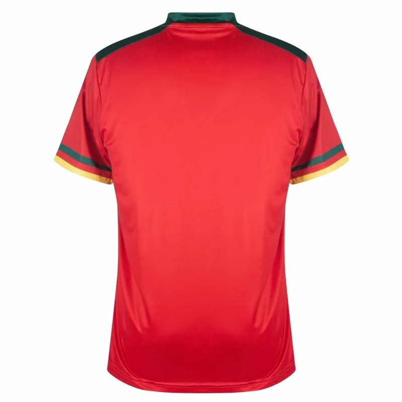 La maglia della nazionale camerunese per la Coppa del mondo 2022, rossa.
