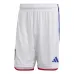 Japan National Team 2022/23 Away Replica Girls' Jersey - White