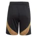 Belgien 2024/25 Heimshorts - Schwarz