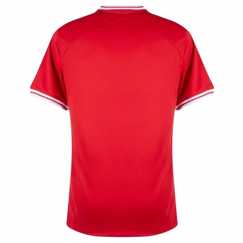 Das Auswärtspoloshirt Polens für die UEFA Euro 2024 - Rot