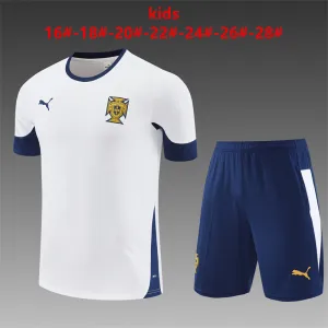Portugal 2025/26 Kids Training Set white