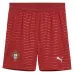 Portugal 2026/27 Home Kids' Kit - Red