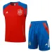 Spain's 2024/25 vest + shorts - red