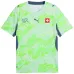 Switzerland 2026/27 Away World Cup Jersey