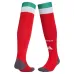 Mexico E. ALVAREZ 2026/27 Home Kids Kit Green