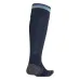 Argentina 2026/27 Home Socks - Blue