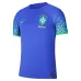 Brasil 2022/23 Visitante Niño Conjunto de Aficionado - Azul