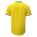 Brasil 1970 Camiseta de local (Amarilla)