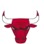 Chicago Bulls category logo image