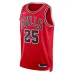 Maglia Dalen Terry Chicago Bulls unisex NBA Draft 2022 primo round Icon Edition