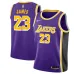 LeBron James, Los Angeles Lakers, 2018/19, Purple