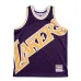 Los Angeles Lakers, Purple