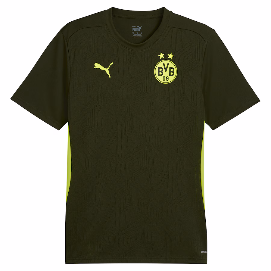 Borussia Dortmund 2024/25 training jersey, green