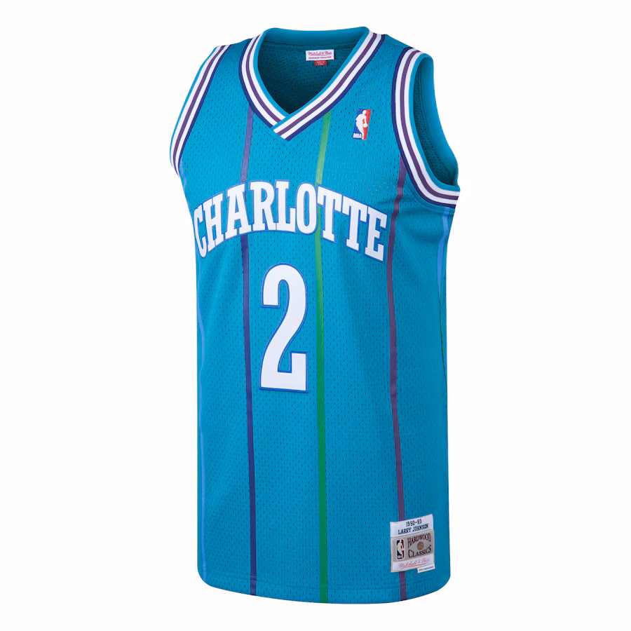 Larry Johnson Charlotte Hornets Mitchell & Ness 1992/93 Hardwood Classics Jersey
